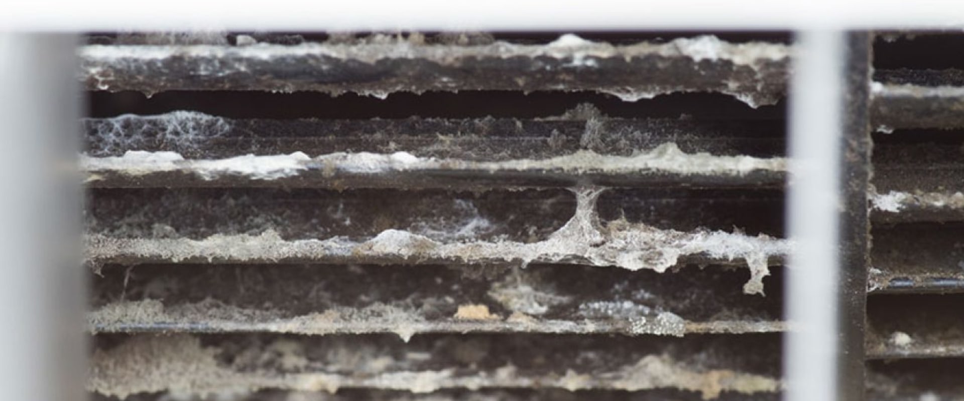 Prolong Your Air Conditioner's Filter Life With Consistent HVAC Air Duct Mold Remediation