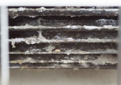 Prolong Your Air Conditioner's Filter Life With Consistent HVAC Air Duct Mold Remediation